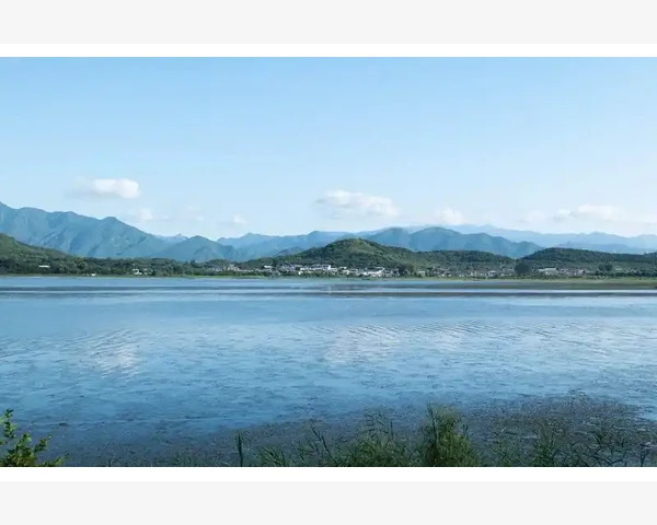 B2B类型球员在球场上的隐形指挥官